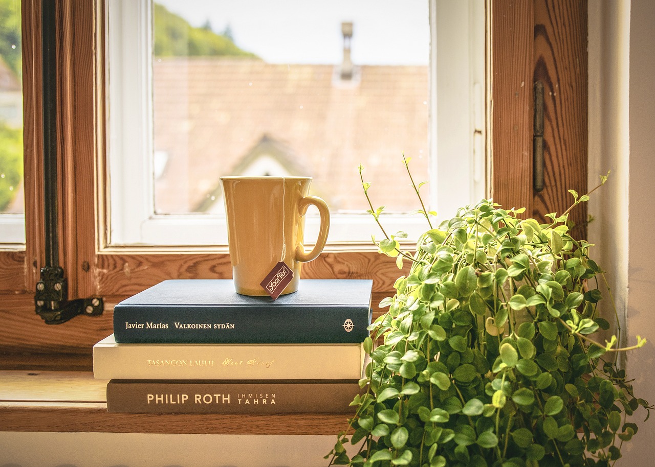 plantas para o interior de um apartamento