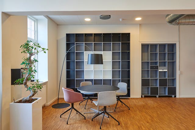 Imobiliária em Xangri-Lá- dicas para decorar a sua com estilo